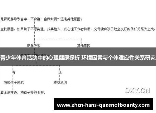 青少年体育活动中的心理健康探析 环境因素与个体适应性关系研究