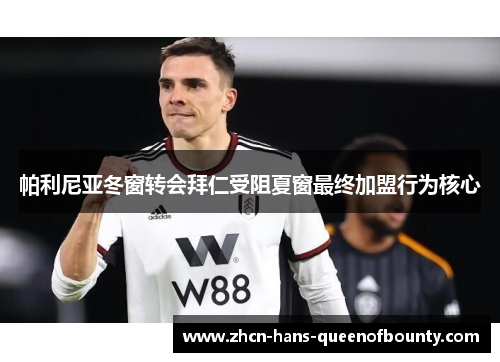 帕利尼亚冬窗转会拜仁受阻夏窗最终加盟行为核心 帕利尼亚冬窗转会拜仁受阻夏窗最终加盟行为核心